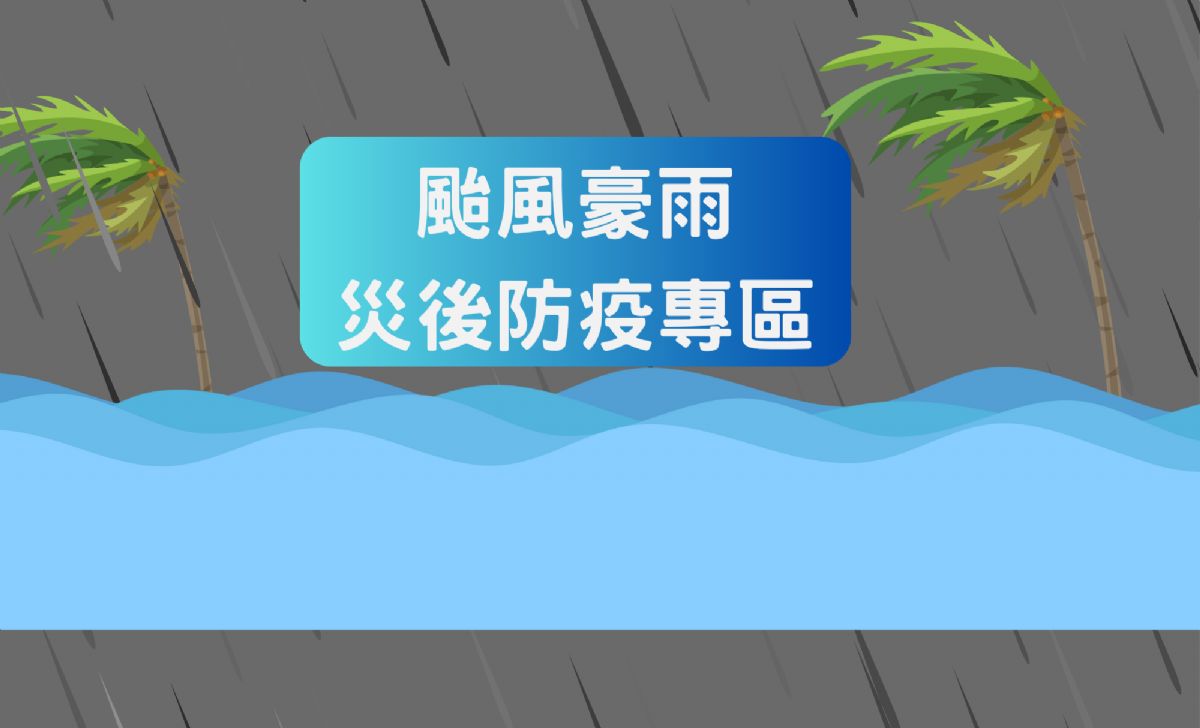 颱風豪雨後防疫專區