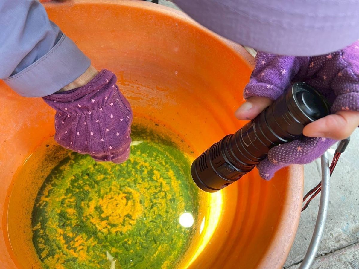巡視積水容器