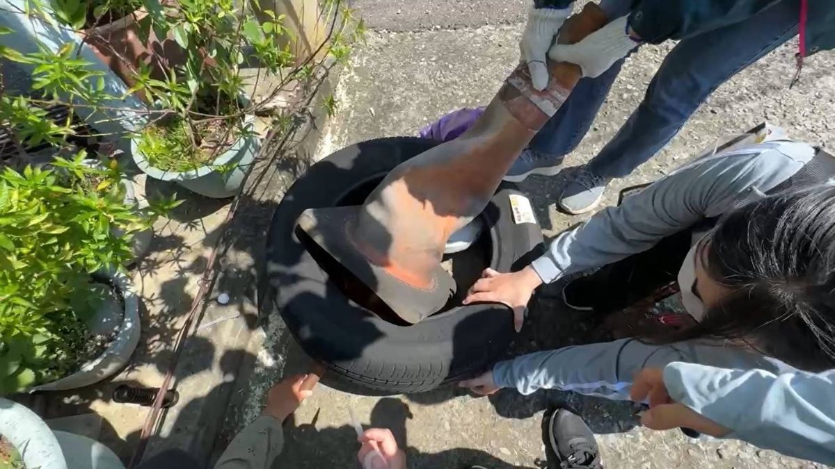 工作人員巡視環境
