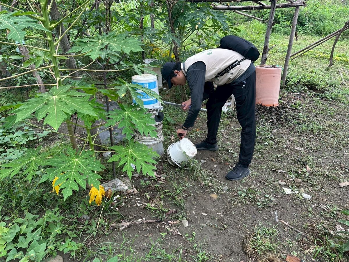 清除積水容器