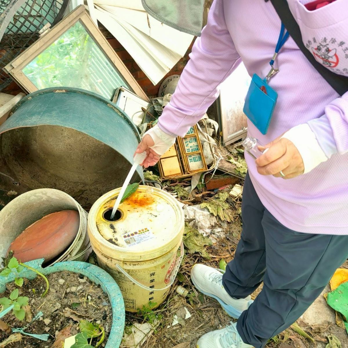 圖:積水容器中採集孑孓