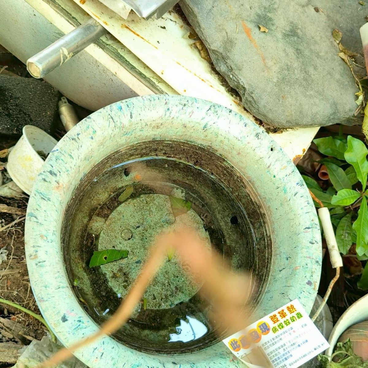 圖:巡查戶外積水容器