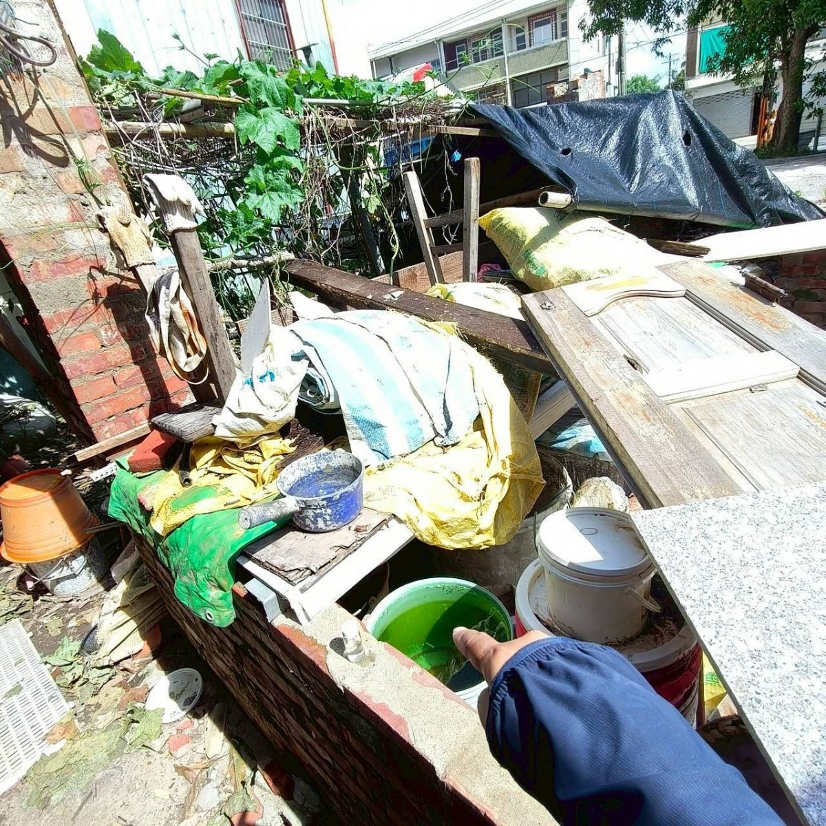 圖:巡查戶外積水容器