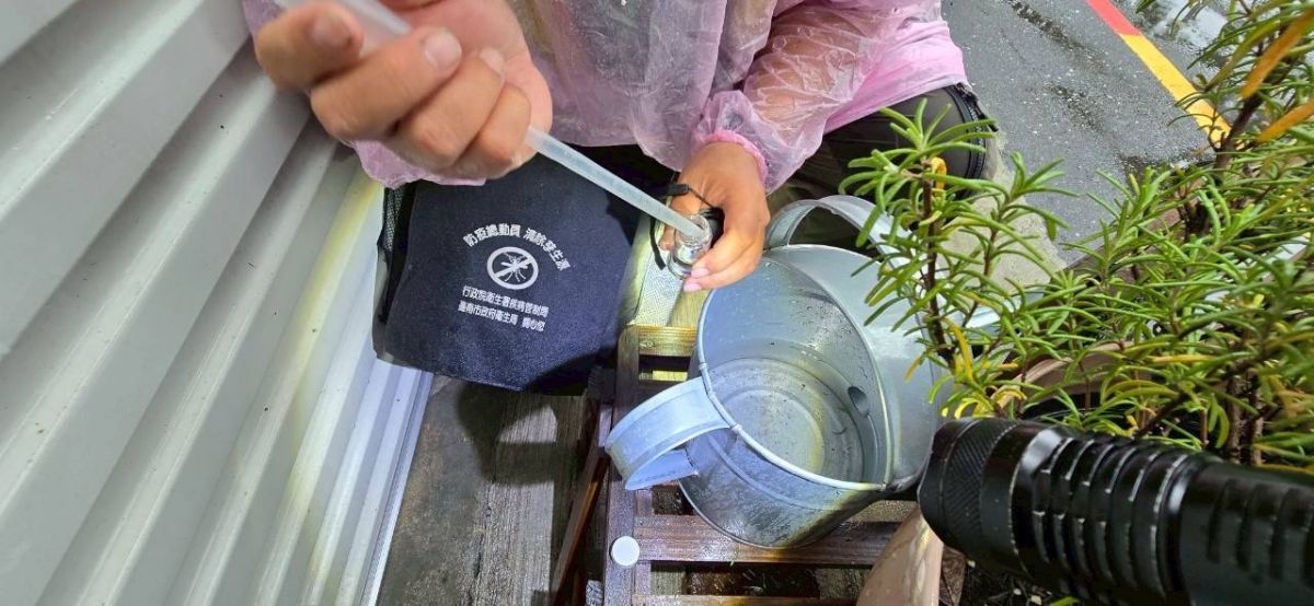 圖:積水容器中採集孑孓