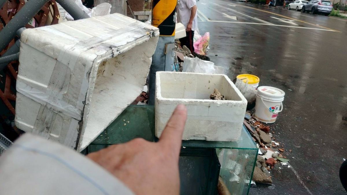 積水容器已經孶生病媒蚊幼蟲1