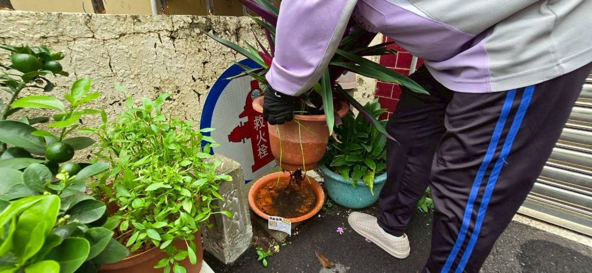 積水容器已經孶生病媒蚊幼蟲2