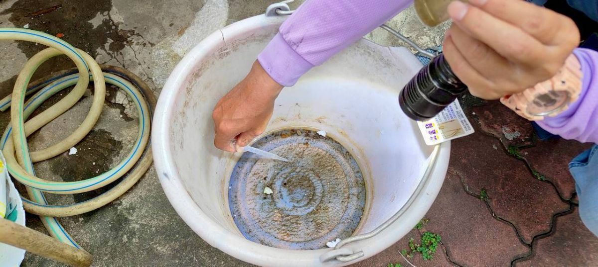 病媒蚊監測人員 掃蚊巡查和孶清等作業5