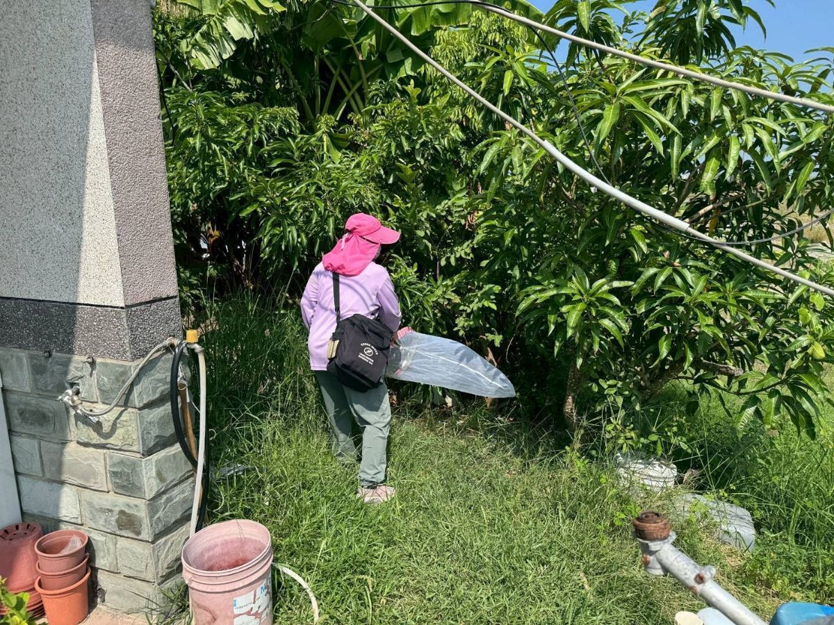 監測人員於社區環境掃蚊/病媒蚊巡查和防治清除-戶外環境