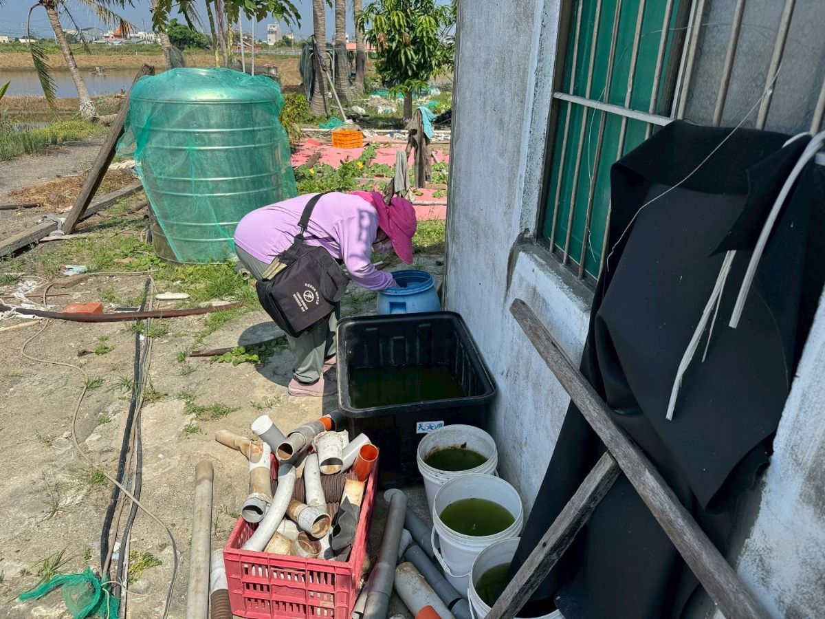 監測人員於社區環境掃蚊/病媒蚊巡查防治清除-住家週邊