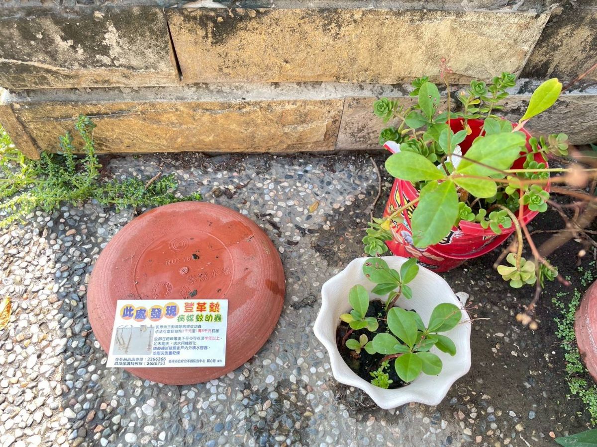 監測人員社區環境病媒蚊巡查1