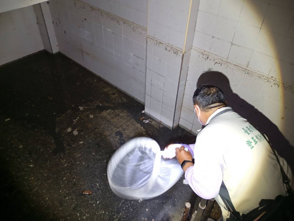 積水地下室掃蚊監測病媒蚊