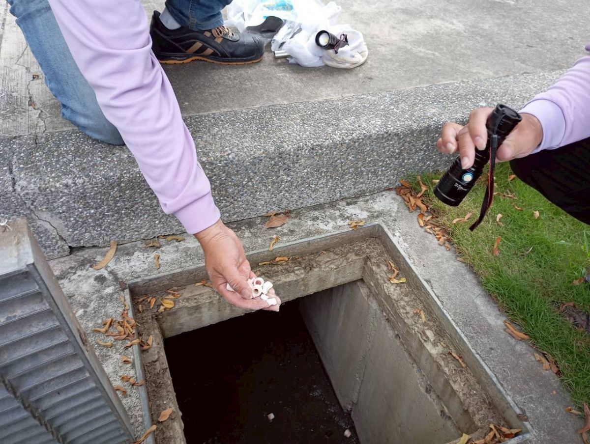 確診者工作廠域病媒蚊巡查/掃蚊和孶清防治