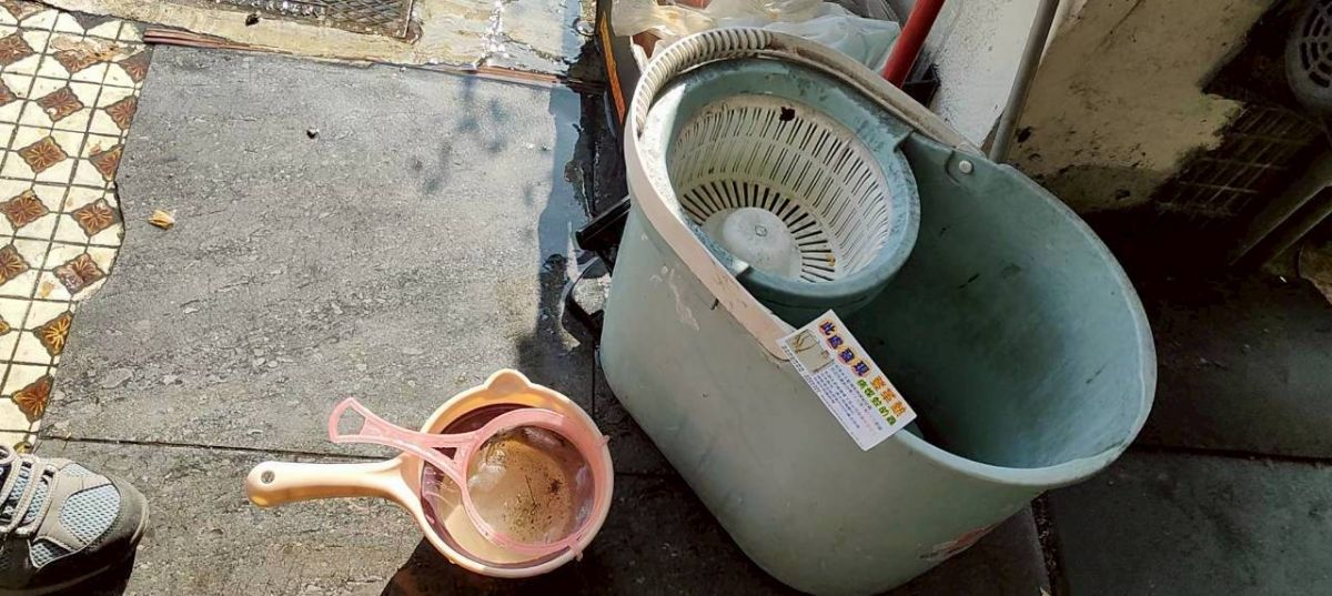 社區環境常見積水容器內孶生孑孓