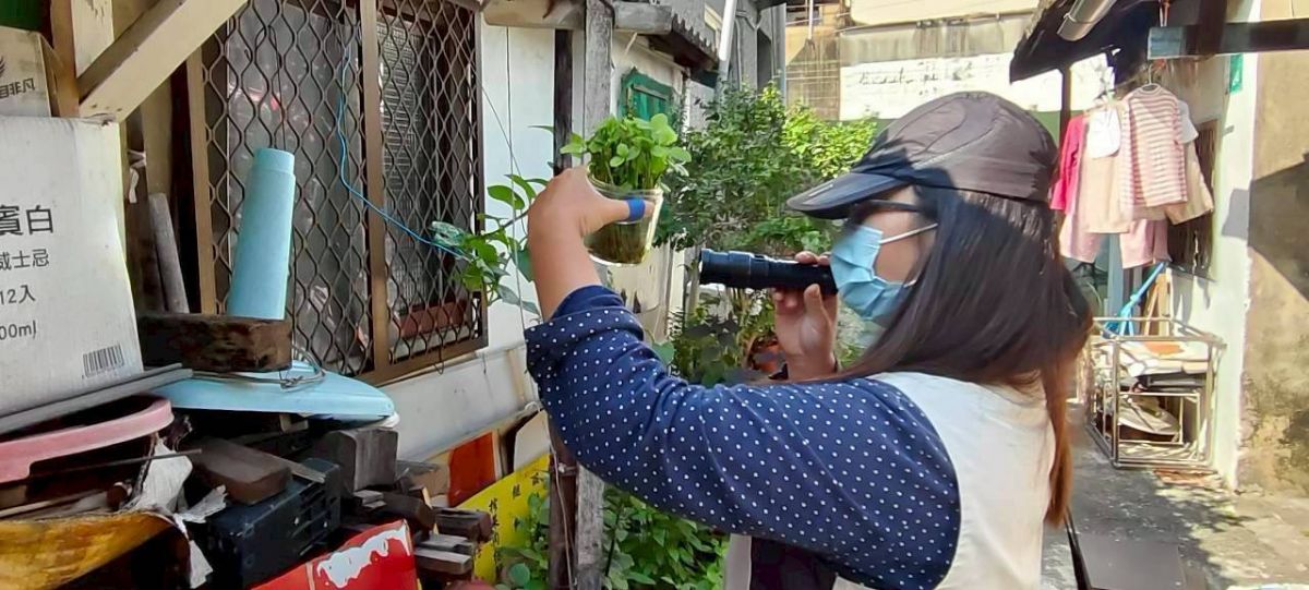 病媒蚊監測人員社區環境巡查和衛教民眾