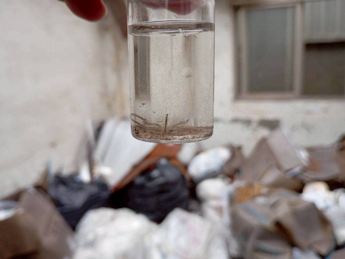 容器「巡、倒、清、刷」無積水和孳生源