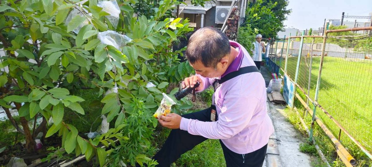 容易孳生病媒蚊場域和積水容器態樣