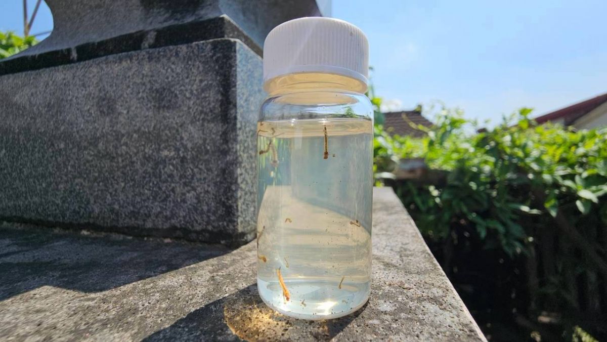 落實防治措施