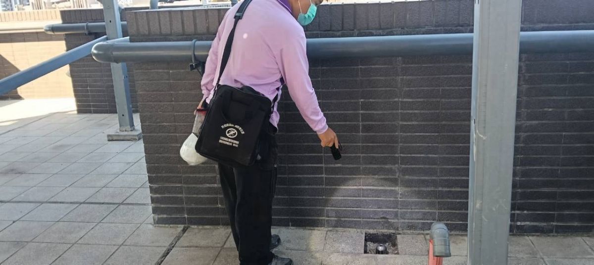 積水容器孶生病媒蚊幼蟲(孑孓)